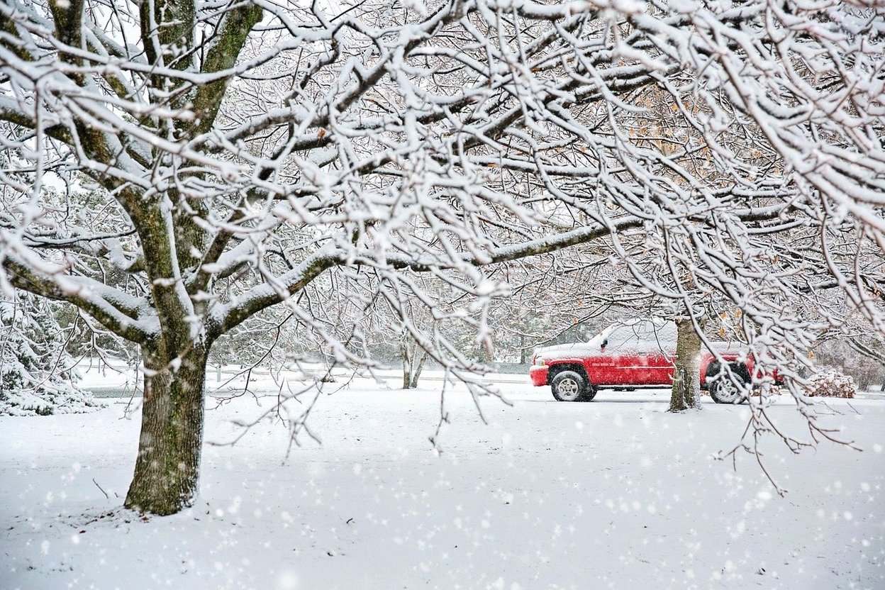 Snow-covered trees frame a red truck parked in a winter landscape.
